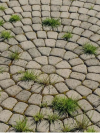 1 L Doff Advanced Glyphosate Knockdown Weed killer Spray Kills Weeds/Roots - Image 5